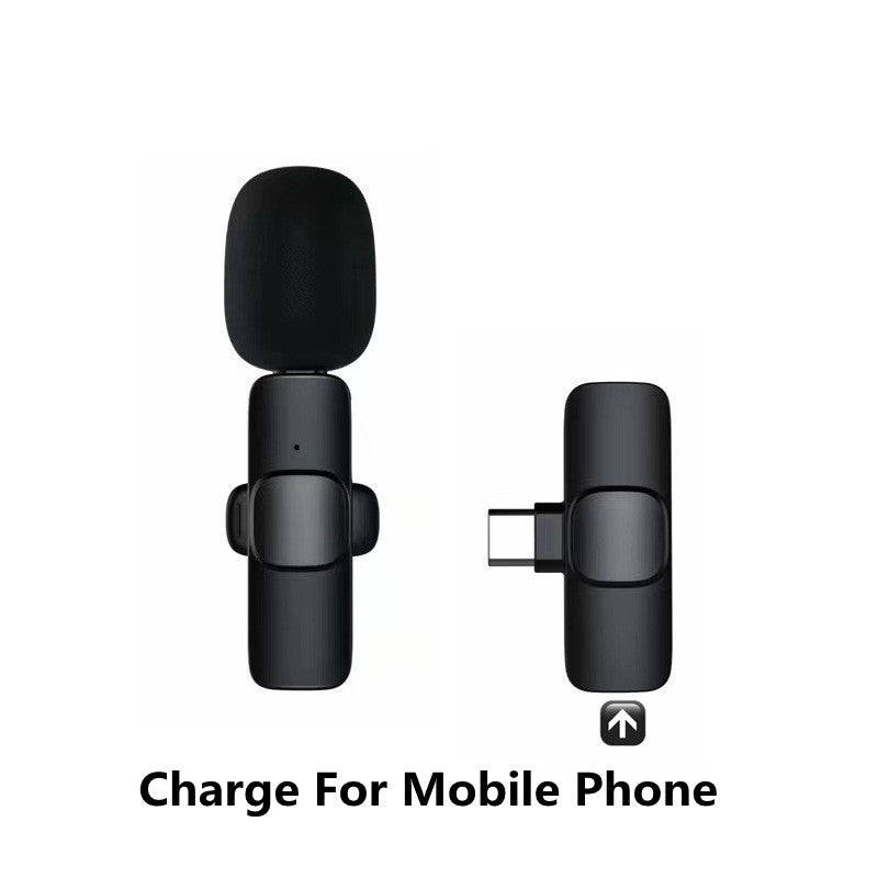 Mini Wireless Portable Audio Microphone