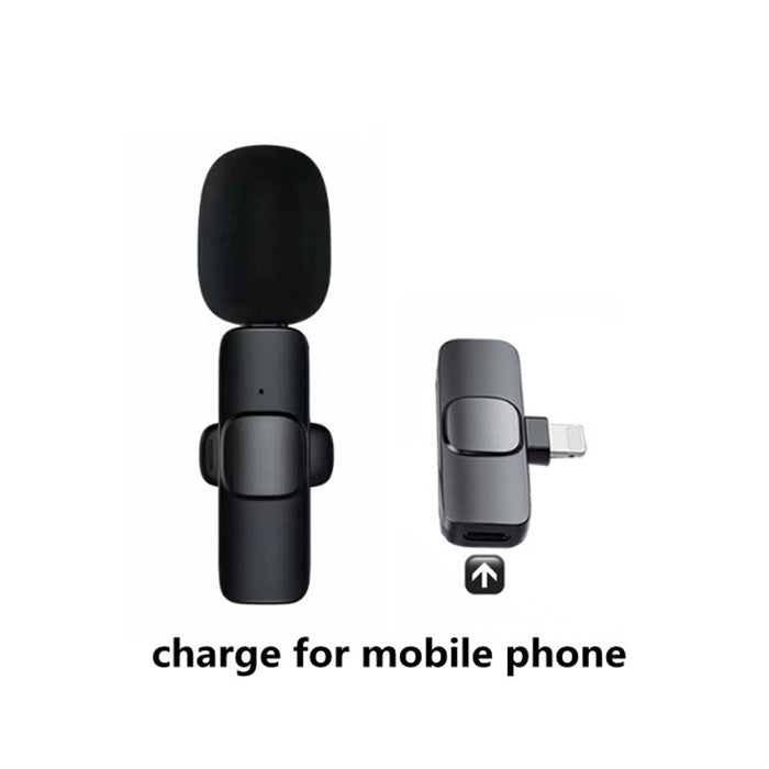 Mini Wireless Portable Audio Microphone